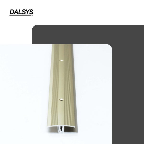 Dalsys Übergangsprofil aus Aluminium mit geriffelter Oberfläche und vorgebohrten Löchern für Bodenbeläge.