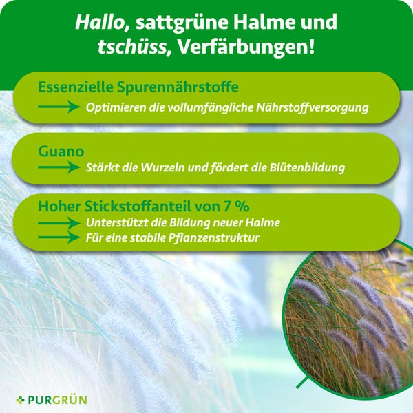 Infografik für Purgrün Dünger: essenzielle Spurennährstoffe, Guano für Wurzeln und Blüten, 7 Prozent Stickstoff für Struktur. Purgrün Logo.