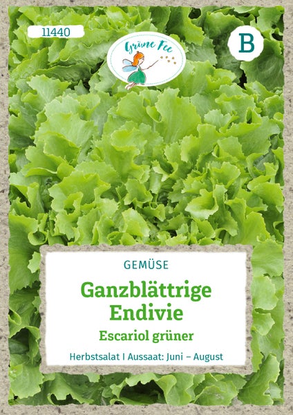 Samentüte für ganzblättrige Endivie Escariol grüner der Marke Grüne Fee. Herbstsalat zur Aussaat von Juni bis August. Grüne Fee Logo.