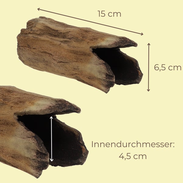 Aquarium-Dekoration hohler Baumstamm mit Maßen: Länge 15 Zentimeter, Höhe 6,5 Zentimeter, Innendurchmesser 4,5 Zentimeter.