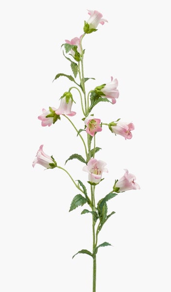 Künstliche Glockenblume Campanula mit mehreren rosa-weißen Blüten und grünem Stiel.