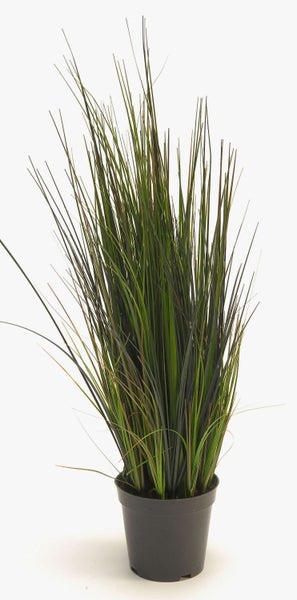 Künstliches Gras im schwarzen Kunststofftopf, dekorative Kunstpflanze für Innenräume.