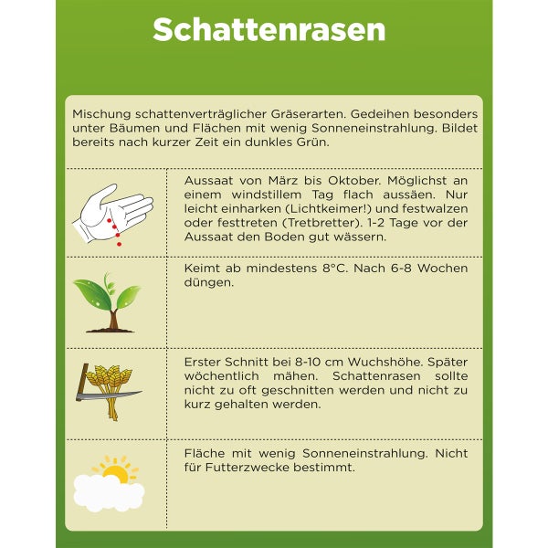 Schattenrasen 45 g Samen von Deine Gartenwelt