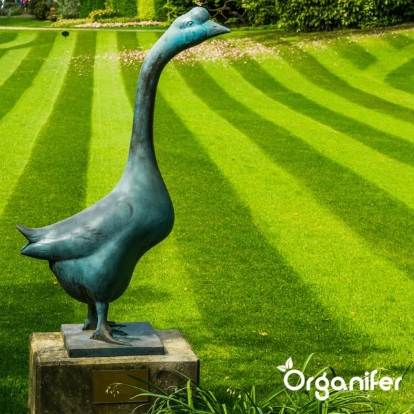 Eisensulfatdünger - Moosentferner - 10kg für 400m2 - Organifer