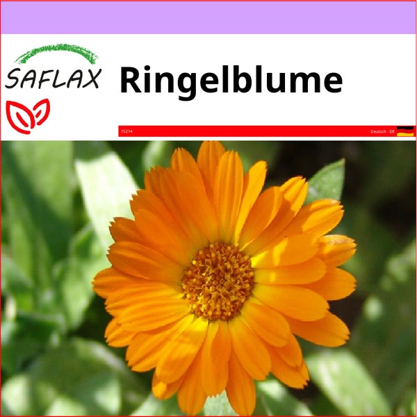 SAFLAX  - Ringelblume - Calendula officinalis - 50 Samen