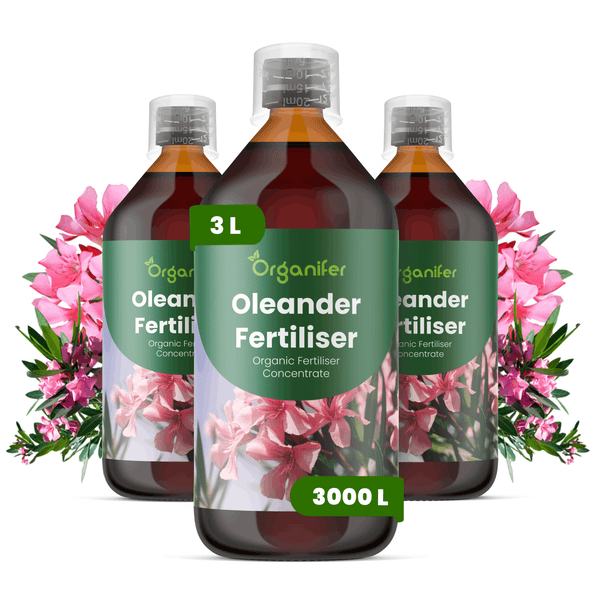 Drei Flaschen Organifer Oleander-Dünger, organisches Flüssigdüngerkonzentrat, 3 Liter Flasche für 3000 Liter Gießwasser.