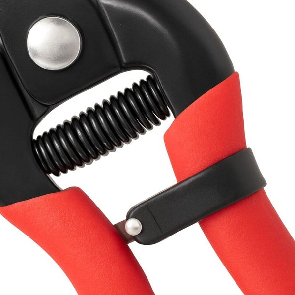 Detailaufnahme einer Gartenschere mit Feder und Griffen