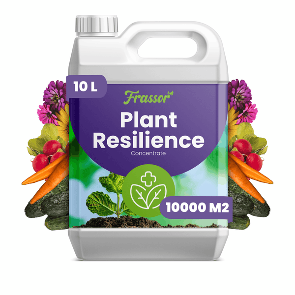 Frassor Plant Resilience Pflanzenstärkungsmittel Konzentrat im 10 Liter Kanister für bis zu 10000 Quadratmeter.