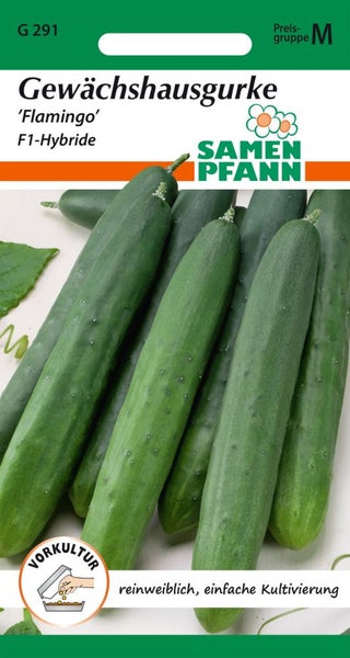 Gewächshausgurke 'Flamingo' Samenpackung