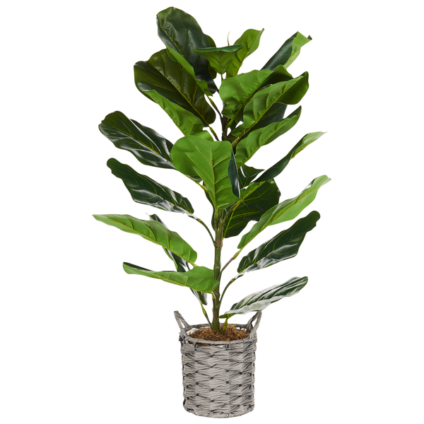Kunstpflanze FIDDLE LEAF TREE 72 cm Grün