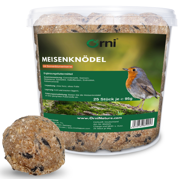 Eine Amsel sitzt auf einem Ast. Das Bild dient als Information zur Verwendung von Vogelfutter für Amseln, Meisen, Grünlinge und Gartenvögel.