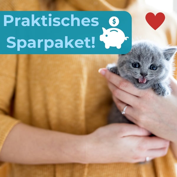 Praktisches Sparpaket mit einer Person, die eine graue Katze hält.