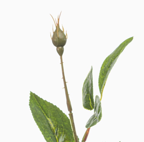 Künstliche Hängepflanze Farn mit hölzerner Basis und herabhängenden Wedeln.