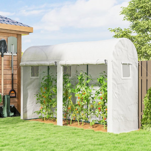 Folientunnel für Tomaten mit gewölbtem Dach und aufrollbaren Seitenwänden, aufgestellt im Garten zur Anzucht von Tomatenpflanzen.