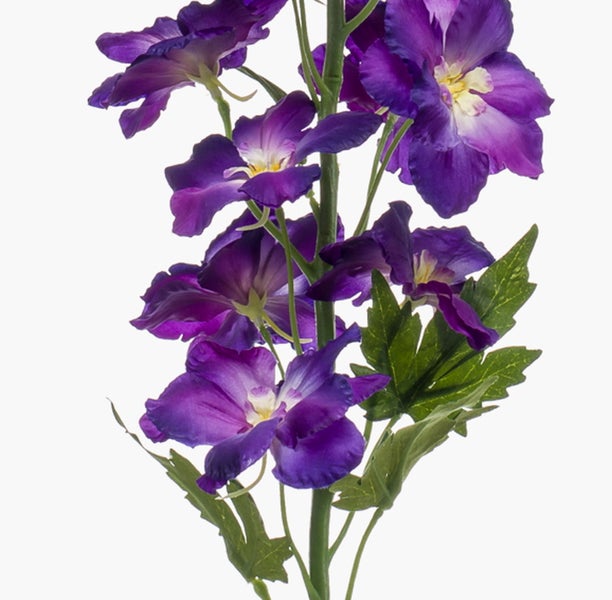 Künstlicher Rittersporn mit violetten Blüten und grünen Blättern.