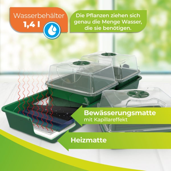 Beheizter Anzuchtkasten Hollandia mit den Maßen L 54 x B 21 x H 17 cm
