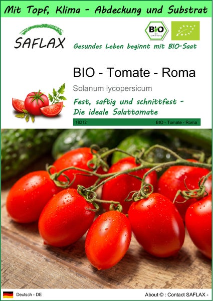 SAFLAX Garden to go - BIO - Tomate - Roma - Solanum lycopersicum - 15 Samen - Mit Topf, Klima - Deckel und Anzuchtsubstrat