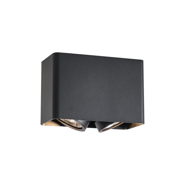 Schwarze Wandleuchte mit zwei Leuchten