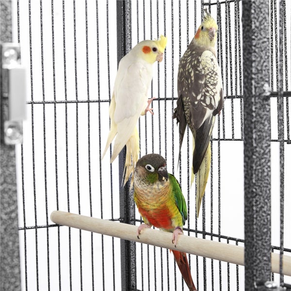 Drei Vögel, darunter Nymphensittiche und ein Grünwangen-Rotschwanzsittich, in einem Vogelkäfig
