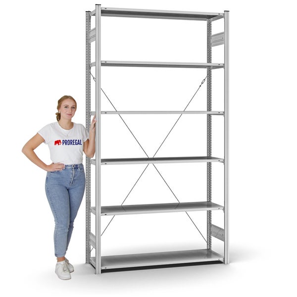 PROREGAL Profi Lagerregal Stecksystem T-Profil Grundregal HxBxT 250 x 130 x 40 cm Fachlast 95 kg Verzinkt