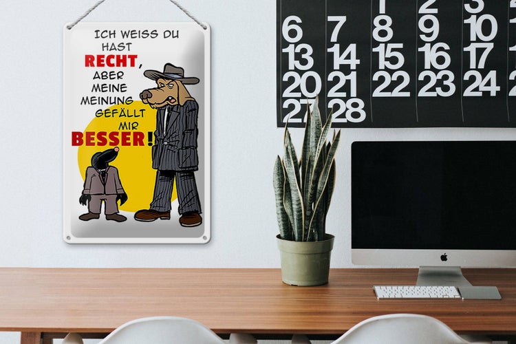 Blechschild Spruch 20x30cm meine Meinung gefällt mir besser