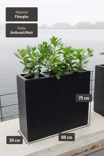 Rechteckiger Pflanzkübel aus Fiberglas in Anthrazit matt mit Pflanzen, 88 mal 30 mal 75 Zentimeter.