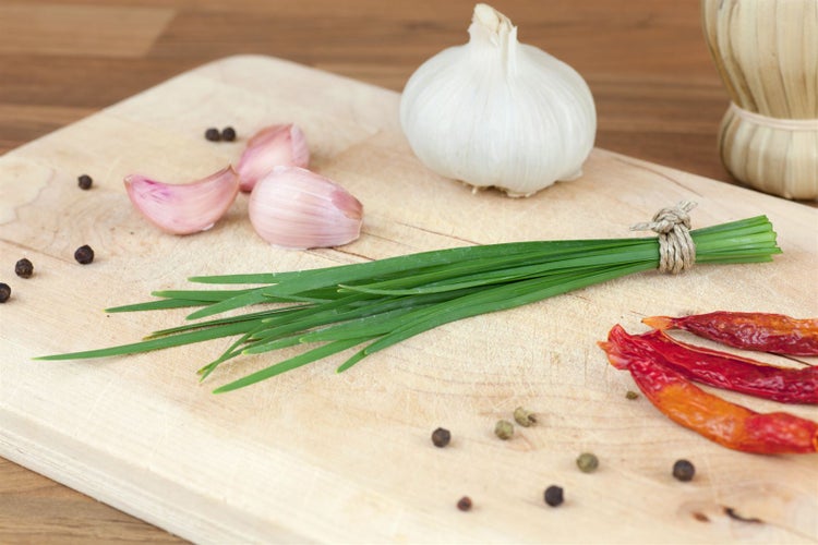 Allium tuberosum, Schnittknoblauch, weißblühend, ca. 9x9 cm Topf