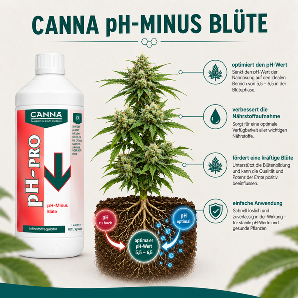 Canna PH-Minus Blüte Nährstoffregulator in 1 Liter Flasche mit grafischer Erläuterung zur pH-Wert Optimierung und Nährstoffaufnahme für Pflanzen.