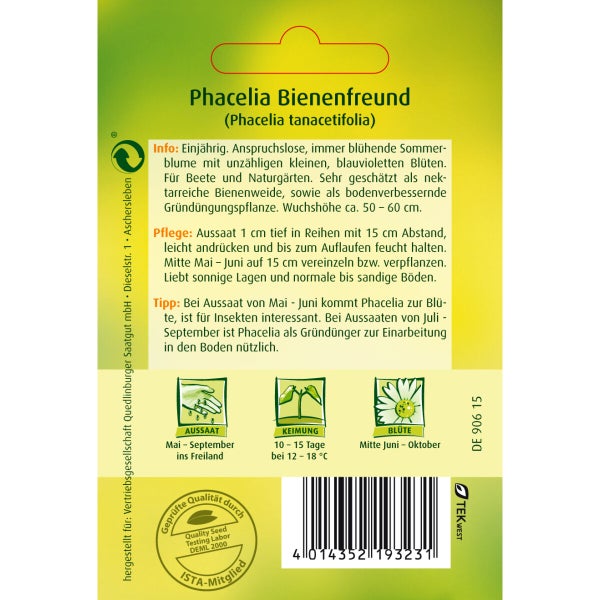 Phacelia Bienenfreund Samen von Quedlinburger SAATGUT