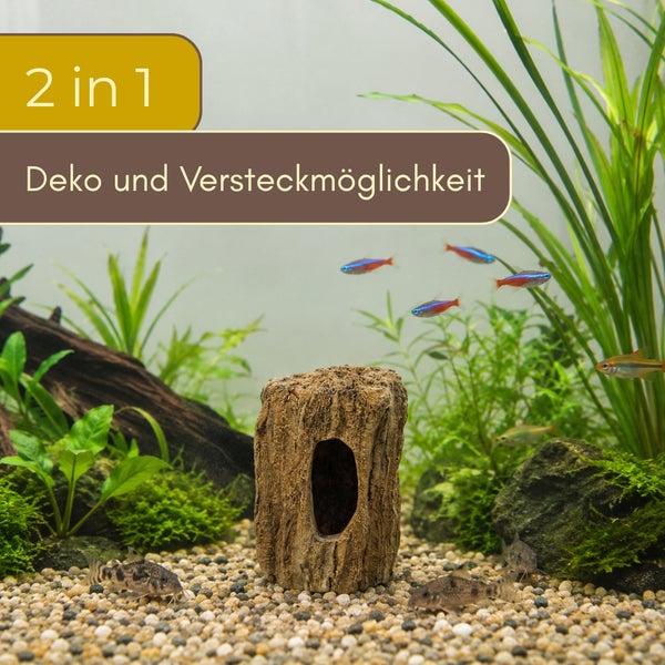Aquarium-Dekoration in Form eines Baumstamms als Dekoration und Versteckmöglichkeit in einem bepflanzten Aquarium mit Fischen.
