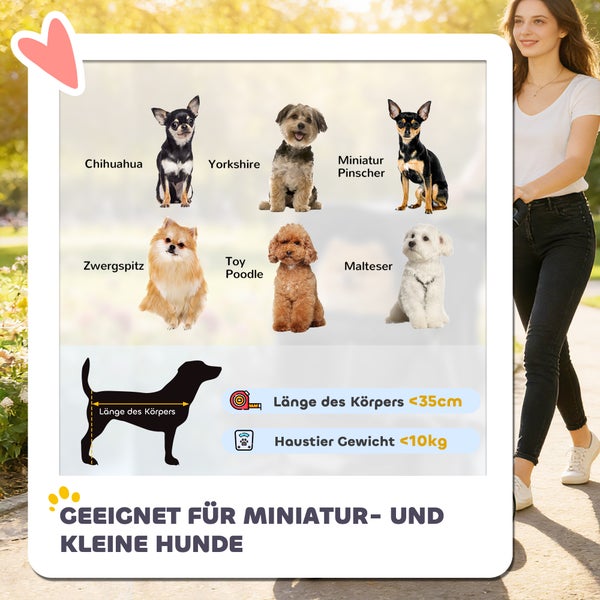 Infografik für Miniatur- und kleine Hunde, Körperlänge unter 35 Zentimeter, Gewicht unter 10 Kilogramm, Beispiele wie Chihuahua und Malteser.
