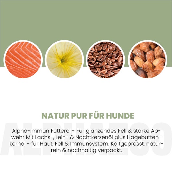 alphazoo Alpha-Immun Futteröl für Hunde 250ml