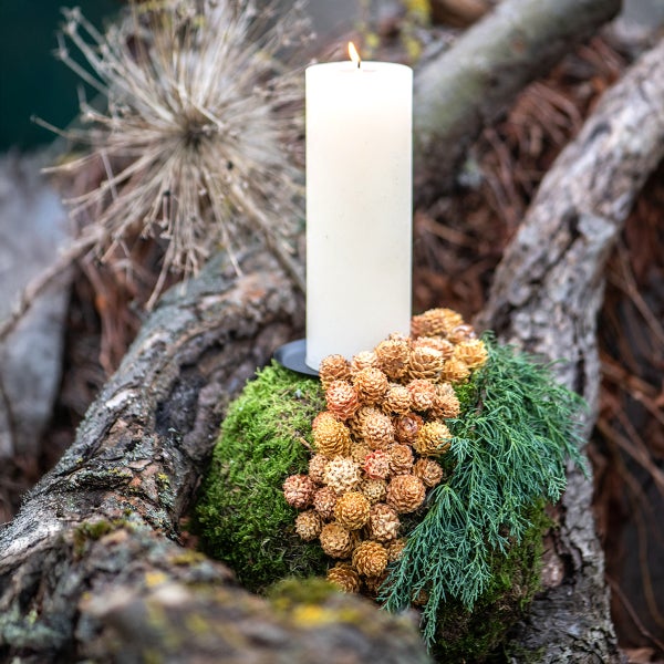 Dekorative Anordnung mit Kerze, Zapfen, Moos und Ästen