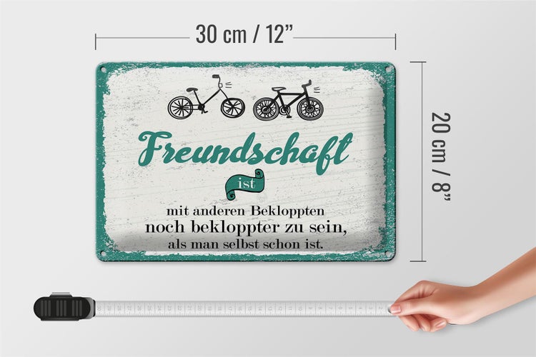 Blechschild Spruch Freundschaft noch bekloppter sein 30x20cm