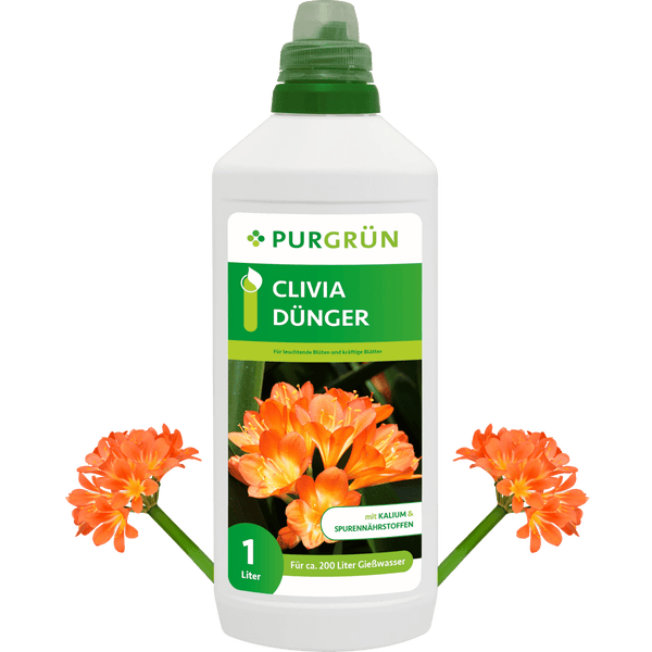 Purgrün Clivia-Dünger 1 Liter