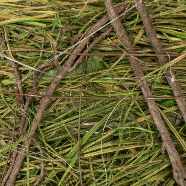 Nahaufnahme von Naturmaterialien wie Stroh und kleinen Ästen