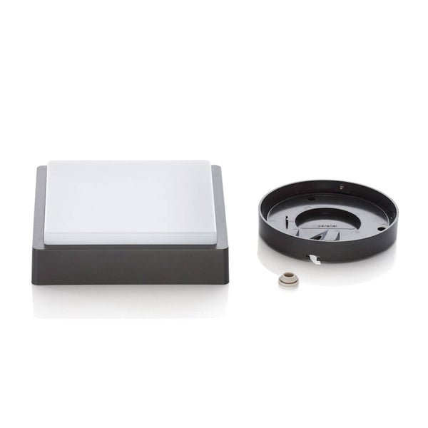 Quadratische Außenleuchte mit weißem Diffusor, dunklem Gehäuse und runder Montageplatte mit Dichtungsring.