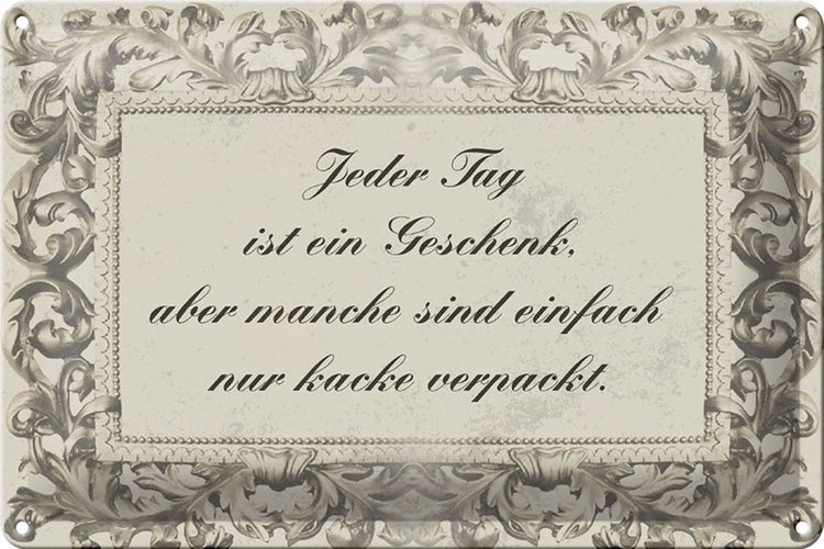 Blechschild Spruch 30x20cm Jeder Tag ist ein Schild