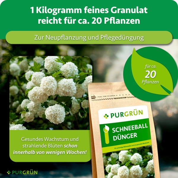 Purgrün Schneeball Dünger Granulat in der Packung für etwa 20 Pflanzen zur Neupflanzung und Pflegedüngung für gesundes Wachstum und Blütenpracht.
