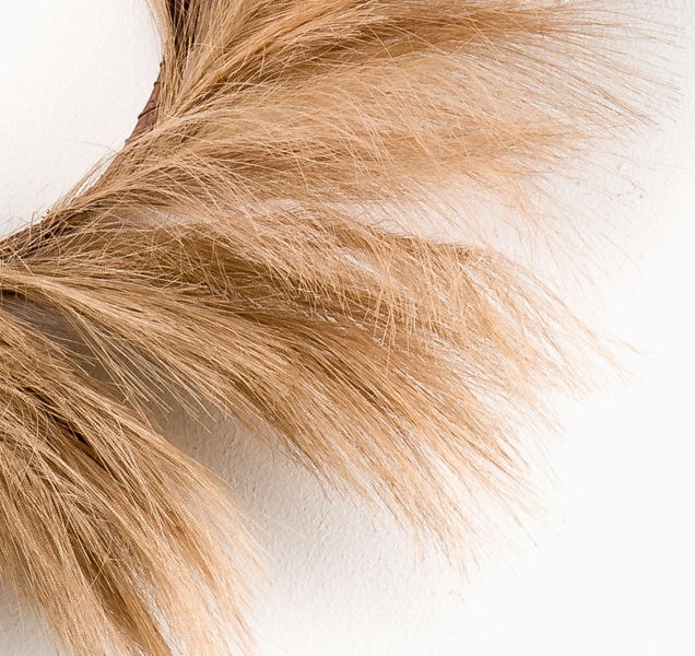 Detailaufnahme von getrocknetem Pampasgras als dekoratives Element für die Wand.