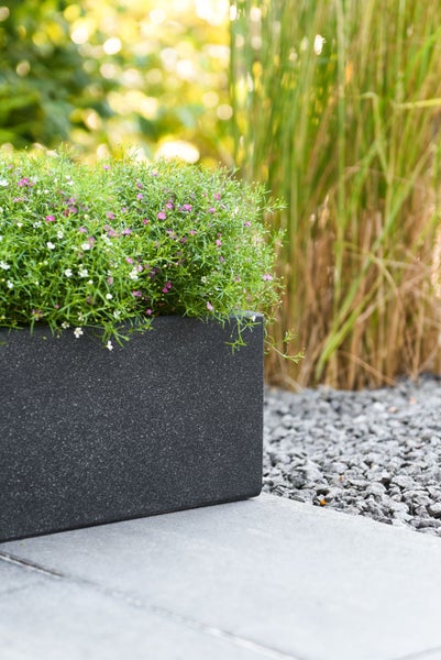 Rechteckiger Pflanzkasten in Anthrazit mit Steinstruktur, bepflanzt mit grünen Pflanzen und kleinen Blüten, auf einer Steinterrasse im Garten.