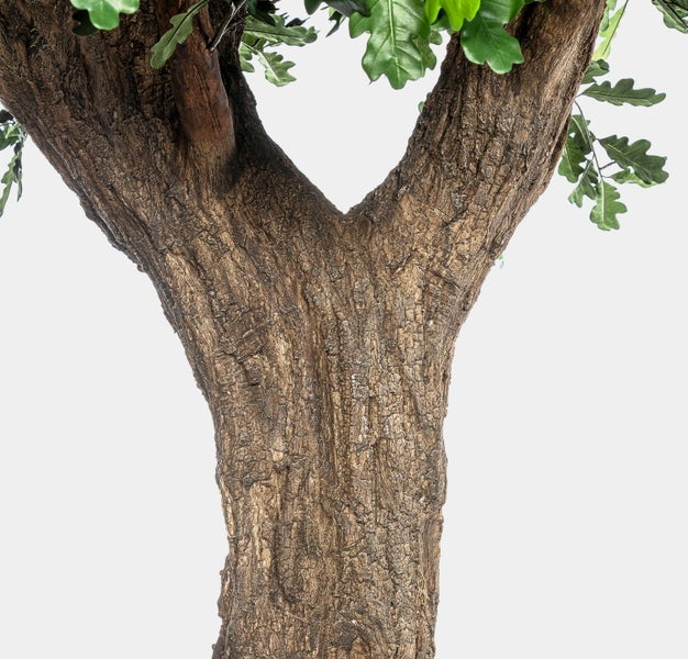 Nahaufnahme einer strukturierten braunen Baumrinde mit Astgabelung.