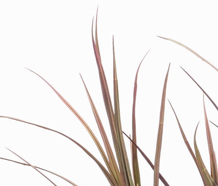 Künstlicher Rhododendronzweig mit orangefarbenen Blüten und grünen Blättern.