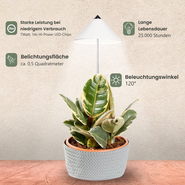 Parus by Venso SUNLiTE 7W LED Vollspektrum Pflanzenlampe Weiß, Indoor Plants Pflanzen Beleuchtung, mit ausziehbarem Teleskopstab, Parus Pflanzenlampe für kleine und mittelgroße Zimmerpflanzen