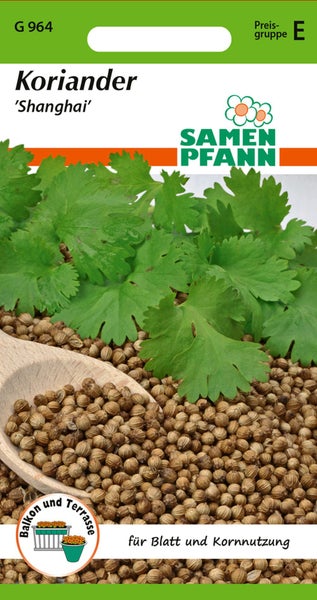 Koriander Shanghai Samenpackung für Blatt- und Körnernutzung