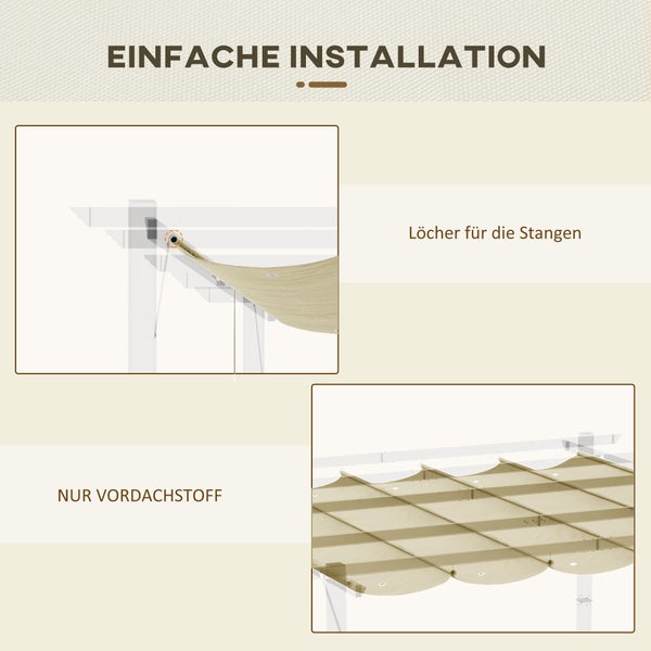 Paradiesvogelblume im Gartenbeet