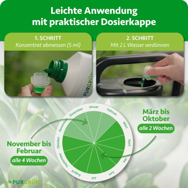 Infografik für Purgrün Pflanzendünger mit Vorteilen von Spurennährstoffen, Stickstoff und Kalium für gesundes Blattwachstum. Purgrün Logo.