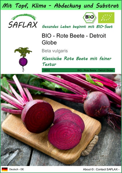 SAFLAX Garden to go - BIO - Rote Beete - Detroit Globe - Beta vulgaris - 100 Samen - Mit Topf, Klima - Deckel und Anzuchtsubstrat