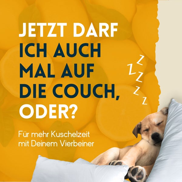nimo® Haustier Geruchsentferner • Neutralisierendes Spray gegen Gerüche im Hauhalt