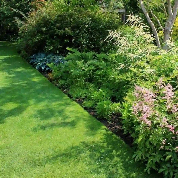 Gepflegter Garten mit einer Rasenfläche und einem angrenzenden Staudenbeet mit blühenden Astilben und verschiedenen Grünpflanzen.